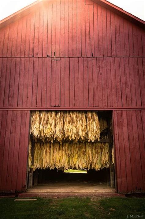 118 Best Tobacco Barns Images On Pinterest Res Life