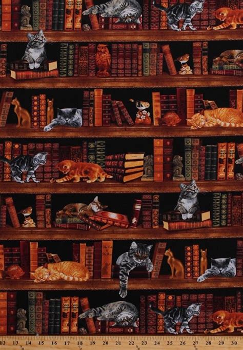 D57570 Cotton Cats Kittens Kitties Books Stacks Library Boo Cat