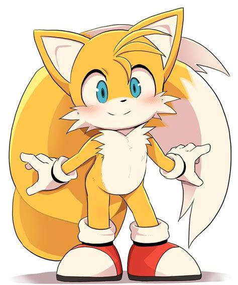 A Cute Tails Miles Tails Prower Dibujos Bonitos Animales De