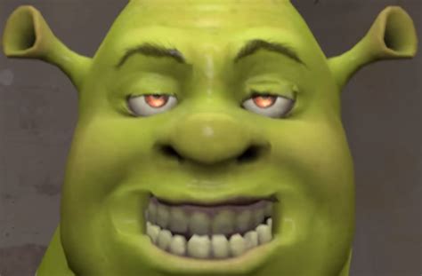 Shrek Funny Face