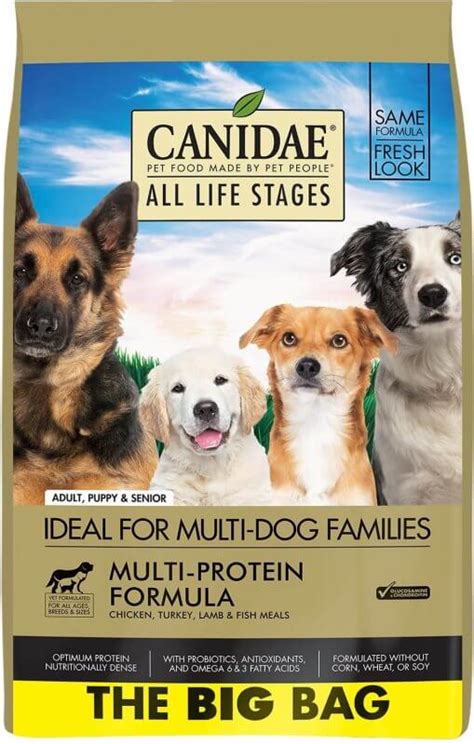 Best Dog Foods For Labrador Retrievers Dog Food Advisor