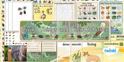 Science Living Things And Their Habitats Year 2 Unit Additional Resources