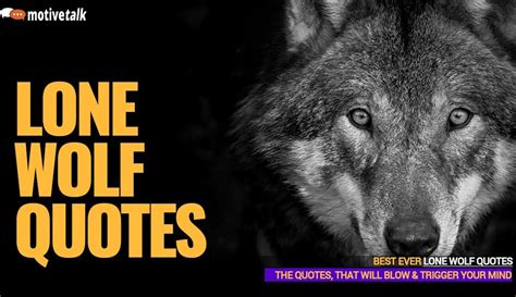 33 Best Lone Wolf Quotes That Will Blow Your Mind And Soul