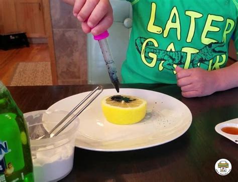 Take A Look At This Prekprintablefun Lemon Fizz Science Experiment On