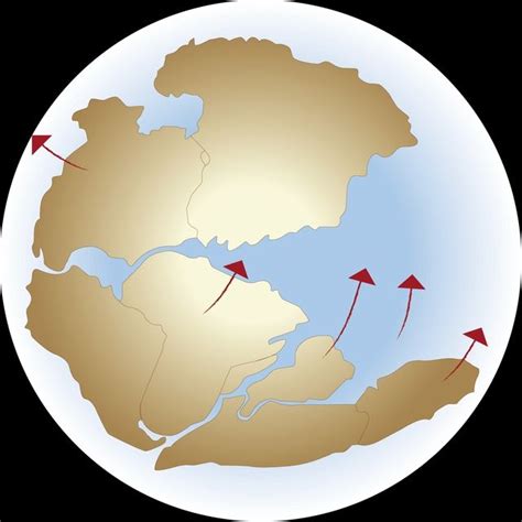 All You Need To Know About The Supercontinent Pangea A Graphic Showing