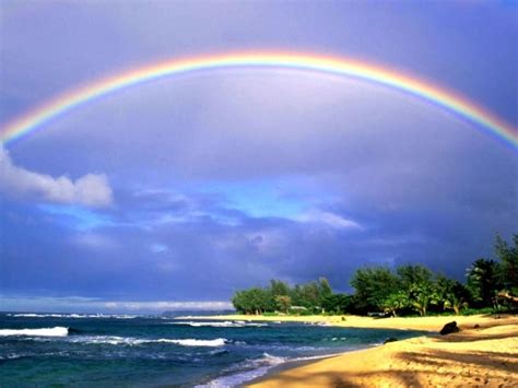 Rainbow Over The Sea And The Beach Wallpapers And Images Wallpapers