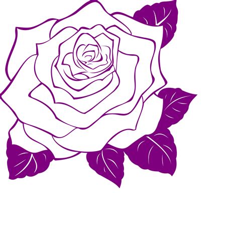 Розы фиолетовые нарисованные 33 фото