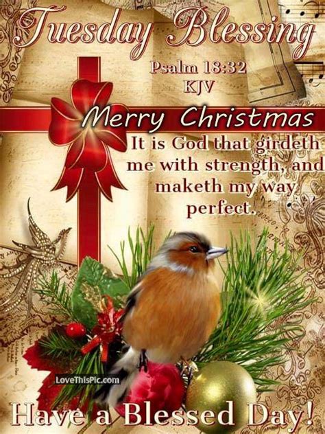 Tuesday Blessings Merry Christmas Pictures Photos And Images For