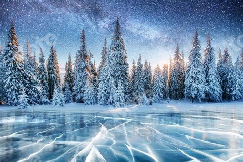 15 Tips And Ideas To Capture The Allure Of Winter Scene Katebackdrop