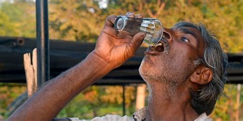 Indian Villagers Drink Cow Urine To Cure Acne Men’s Health