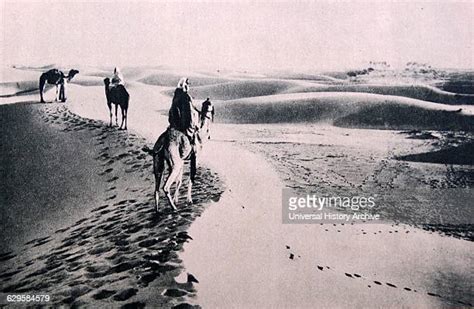 Camel 1930 Photos And Premium High Res Pictures Getty Images