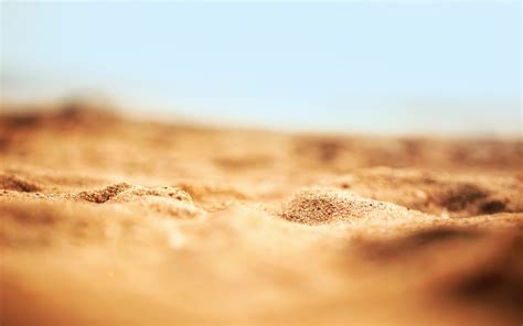 Hintergrundbilder 2560x1600 Px Tiefenschärfe Makro Natur Sand