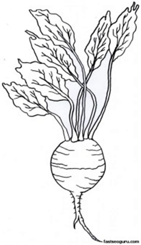 Submitted 1 year ago by madhurabeautytips. Printable Vegetable Turnip Coloring Page - Printable ...