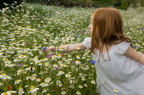 Girl Picking Flowers In Field Stock Image F0042303 Science Photo