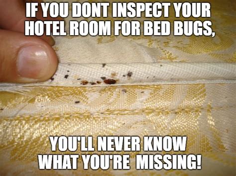 Bed Bug Meme