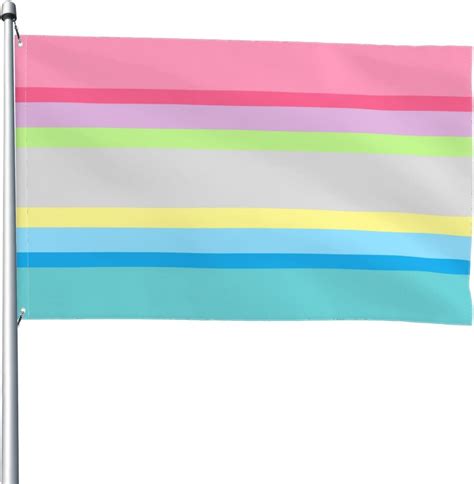 Gender Questioning Pride Flag Flag 4x6 Feet Vivid Color
