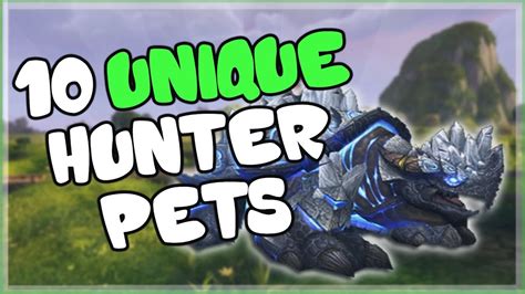 Top 10 Coolest Hunter Pets Wow Buy Wow Hunter Pets And Boost Your