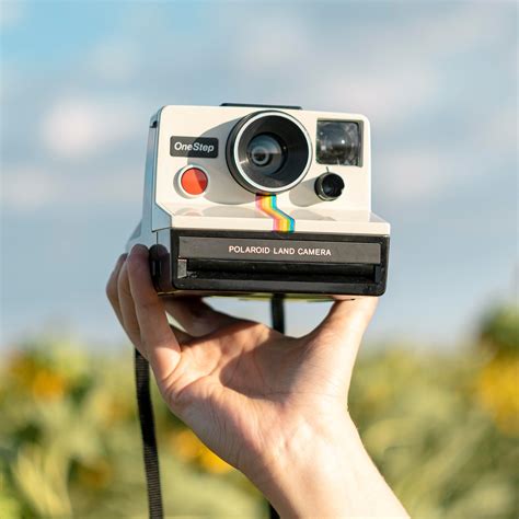 A Gorgeous Polaroid Sx 70 One Step In The Wild Rcameras