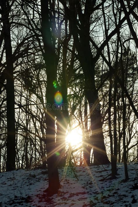Sun Sunrise Winter Stock Image Image Of Nature January 86065537