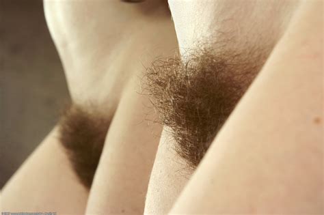 Hairypussysideviews Tumblr Com Tumbex