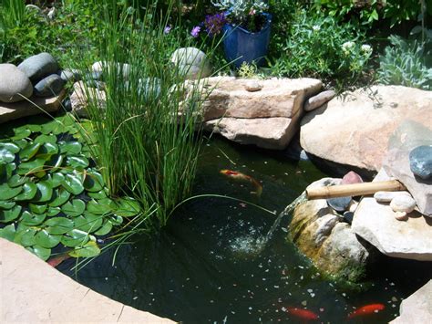 Posted by 6 minutes ago. Small Ponds - Growing Water Plants in Them & Keeping Them Clean