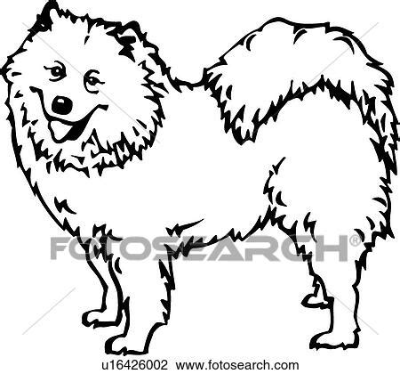 clipart  samoyed  search clip art illustration murals drawings  vector eps
