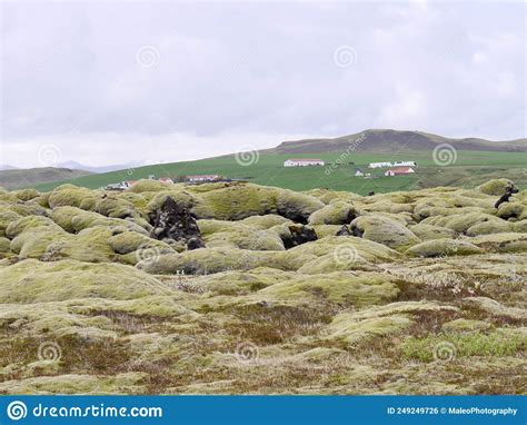 Panoramic View Of Eldhraun Lava Field In Southern Iceland Stock Photo