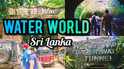Water World Sri Lanka Water Tunnel Aquarium Kalaniya Youtube