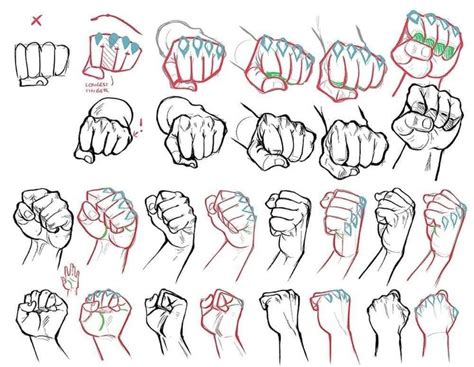 Fist Ref Drawing Fist Hand Reference Drawings