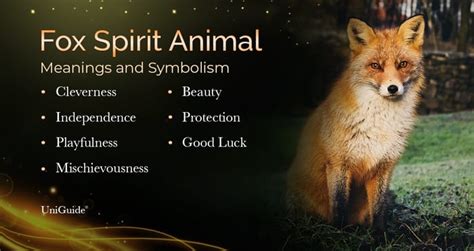 Fox Symbolism And Meaning And The Fox Spirit Animal Uniguide
