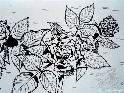 Indian Ink Art Roses — Weasyl