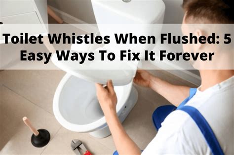 Toilet Whistles When Flushed Easy Ways To Fix It Forever