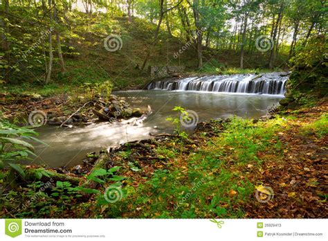 Creek Cascades In Polish Forest Stock Image Image Of Cascades Forest