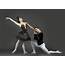 Ballet Manila Takes On Swan Lake Anew The Ultimate Test For 