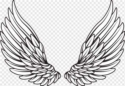 Paar Weiße Flügel Illustration Zeichnung Flügel Engel Engel