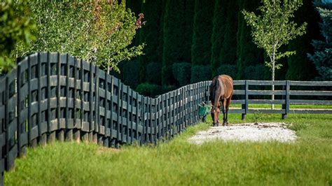 Horse Farm Tour Of The Kentucky Bluegrass Tinggly