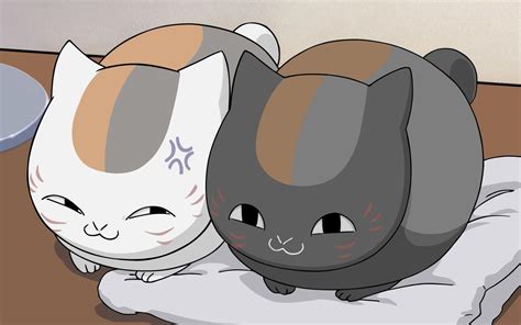 Top 75 Grey Anime Cat Latest Incdgdbentre