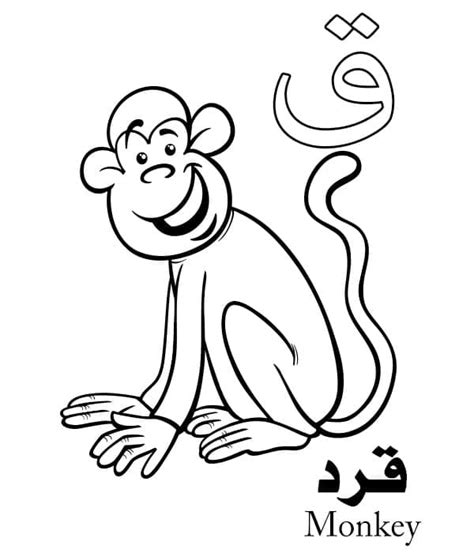 Letter ق Is For Monkey Arabic Alphabet Coloring Page Download