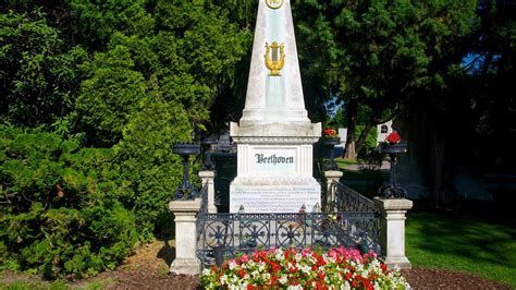 Zentralfriedhof In Wien Expediade