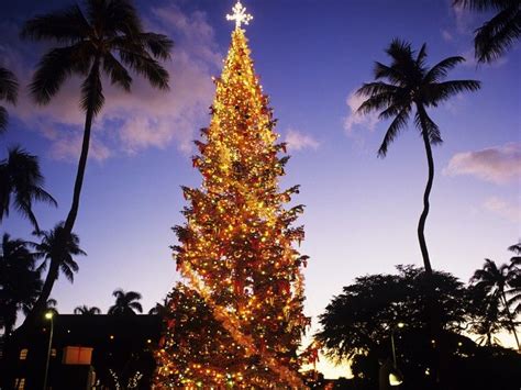 How To Have A White Christmas In Hawaii — Condé Nast Traveler Hawaii