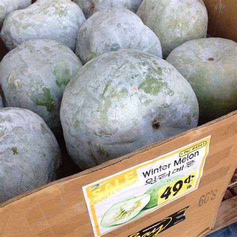 Winter Melon Growing Guide - BackGarden.org