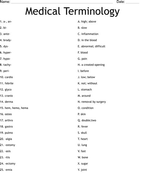 Medical Terminology Worksheet Wordmint