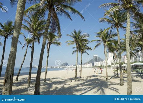 Spiaggia Rio De Janeiro Palm Trees Di Copacabana Fotografia Stock