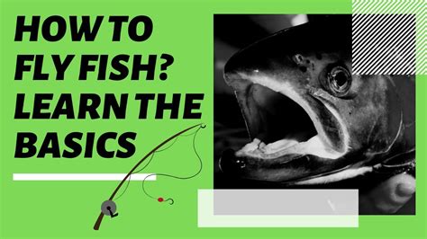 How To Fly Fish Learn The Basics Of Fly Fishing Youtube