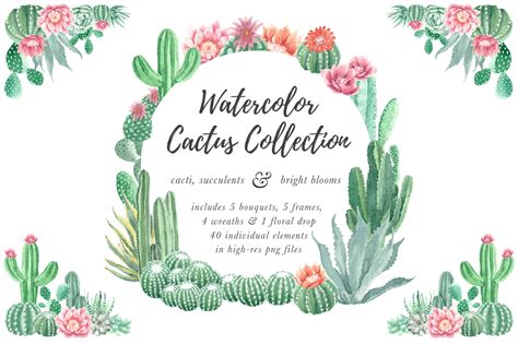 Watercolor Cactus And Succulents Collection 93549