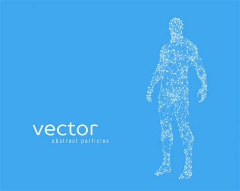 Vector Illustration Of Human Body — Stock Vector © Julvil11 98159772