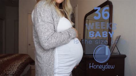 36 week pregnancy update weight gain belly shot youtube