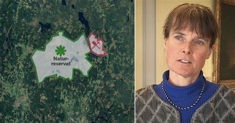 Bergmästaren Därför Ger Lagen Grönt Ljus För Gruvbolag Svt Nyheter