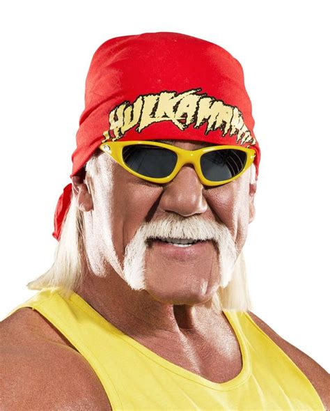 Hulk Hogan Face