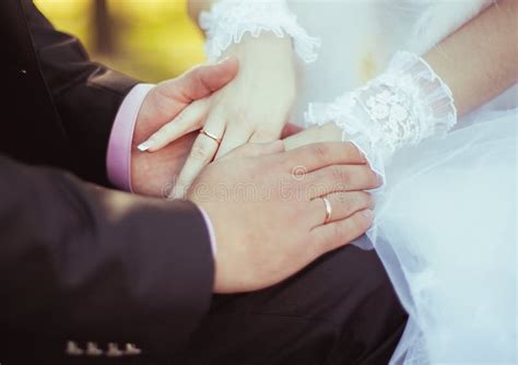 Wedding Couple Holding Hands Stock Photo Image Of Female Husband